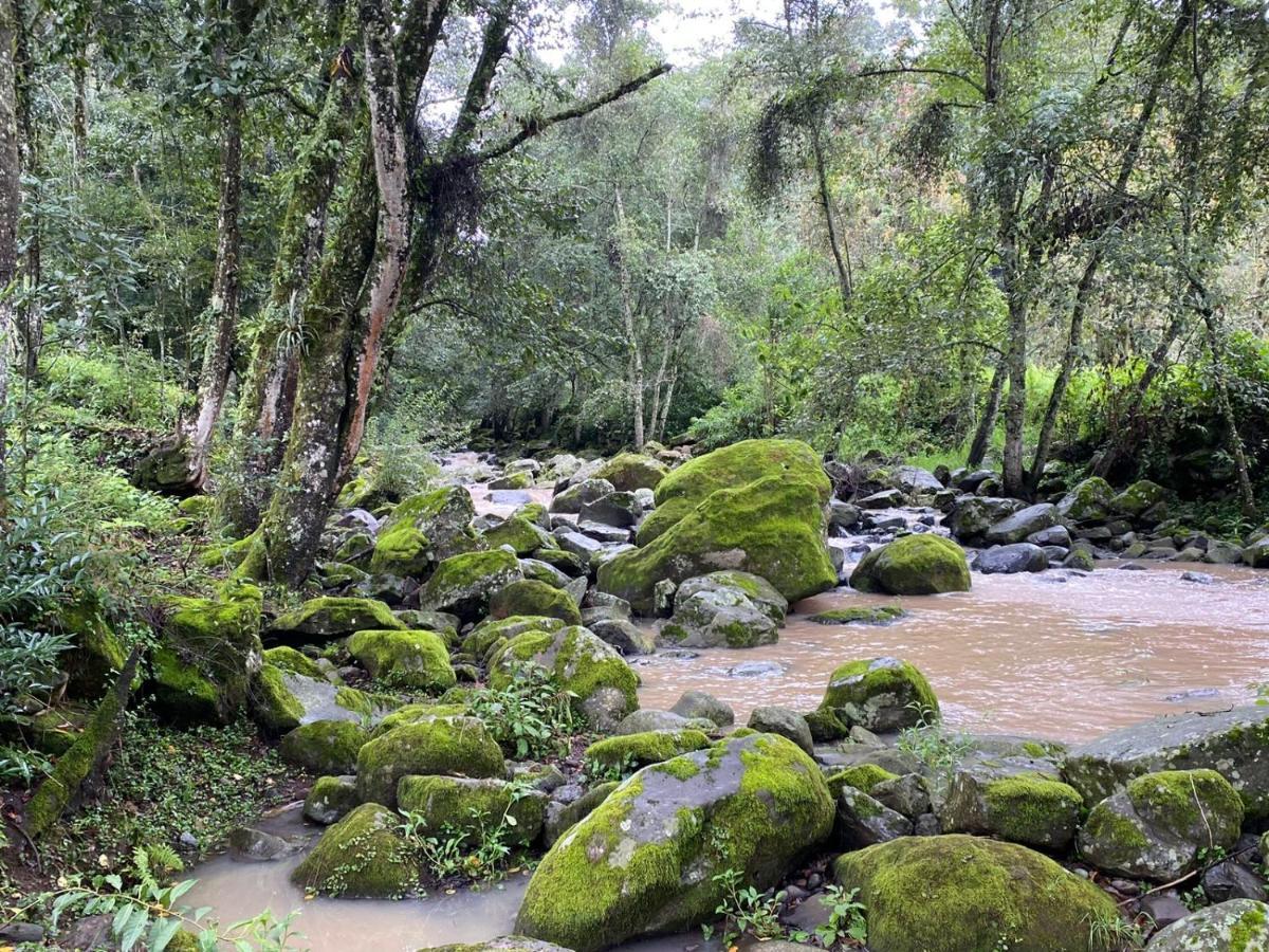 Отель Rancho Campestre Virgen Del Rio Сакатлан Экстерьер фото